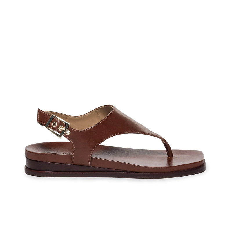 Bernardo Concord Thong Flade Sandaler Dame Chokolade | JYE203WC