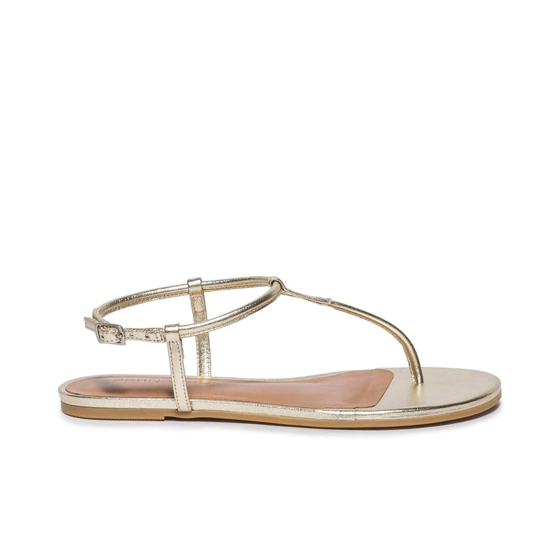 Bernardo Haven Thong Flade Sandaler Dame Guld | VAI9960NS