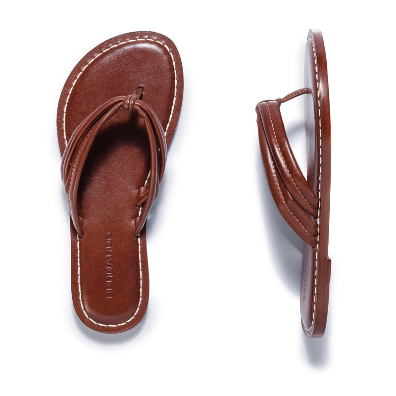 Bernardo Miami Thong Slidesandaler Dame Chokolade | GOW2663XF