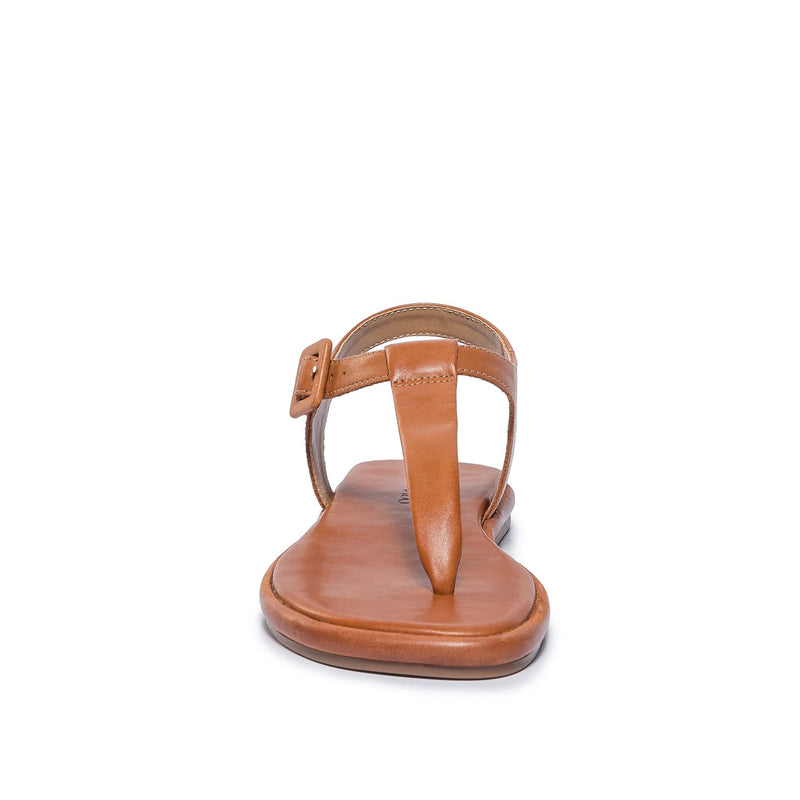 Bernardo Tucson T-Strap Flade Sandaler Dame Mørkebrune | PKJ9653FY